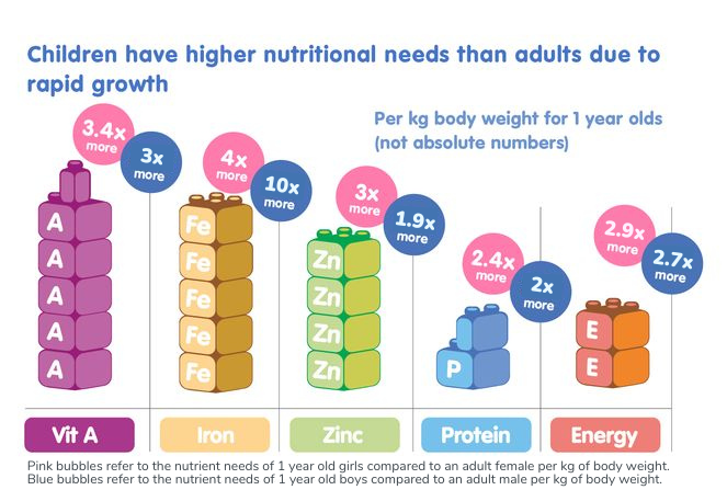 Children have higher nutritional needs than adults due to rapid growth