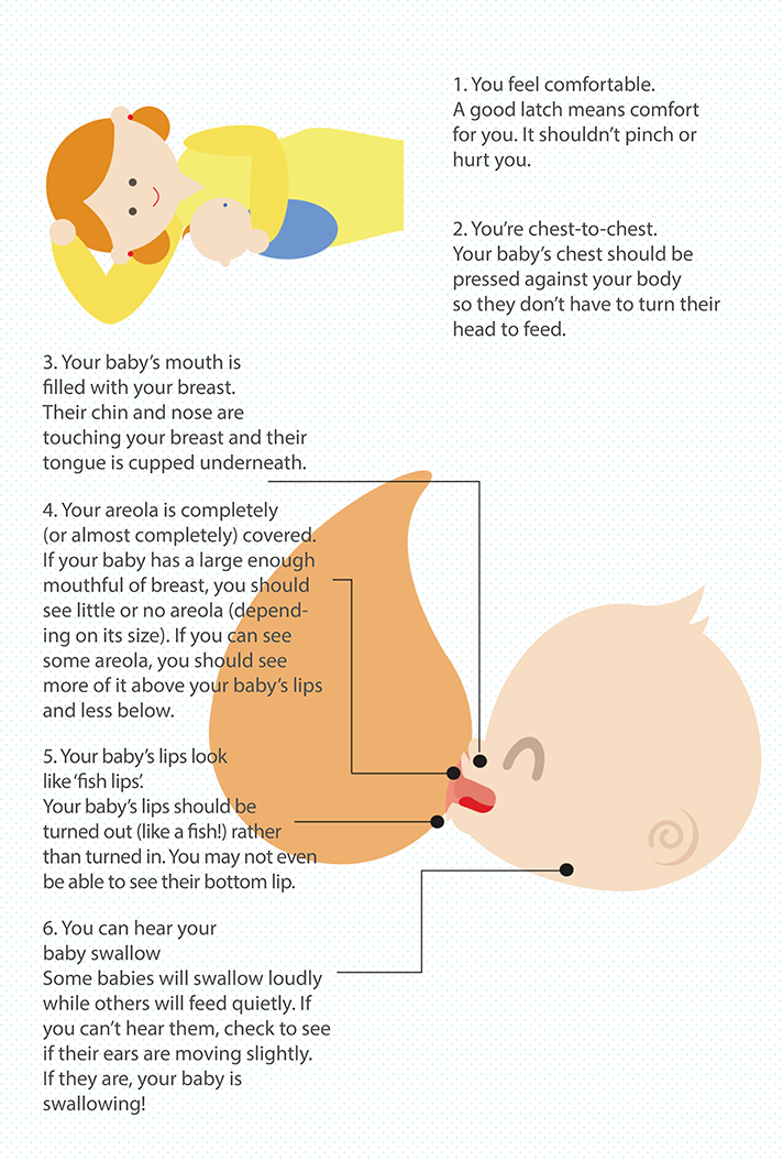 6 signs of a good breastfeeding latch