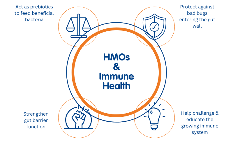 HMOs & Immune Health