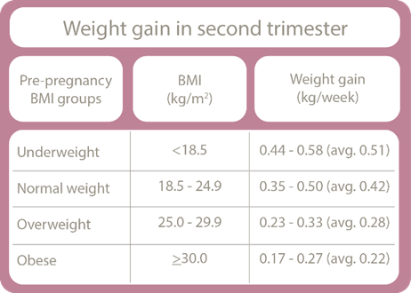 weight gain in second trimester