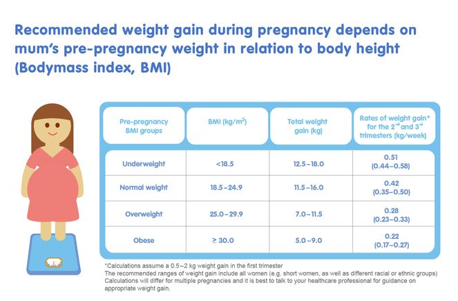 Recommended weight gain during pregnancy