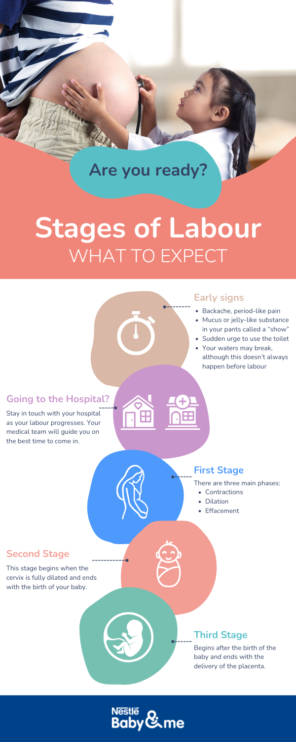 Stages of labour infographic