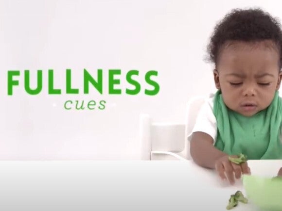 Hunger and Fullness Cues for Toddlers 12-24 months