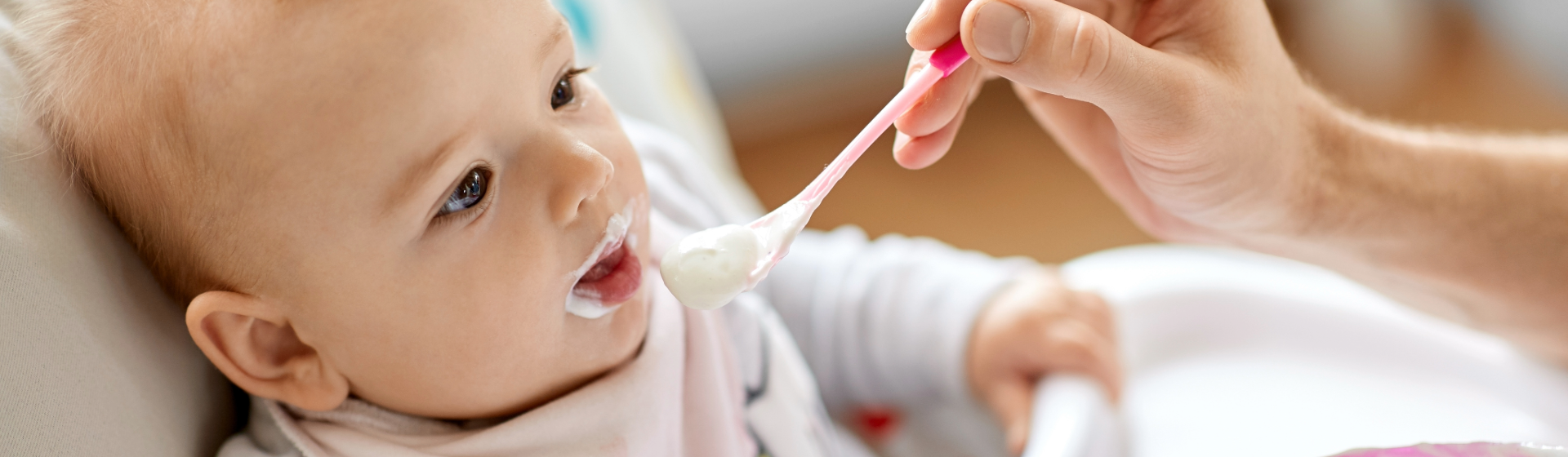 Infant Puree Recipes