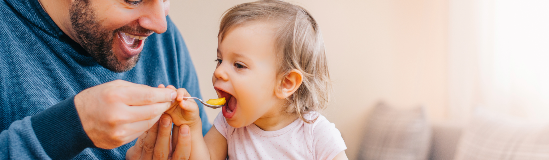 Toddler Meals & Recipes