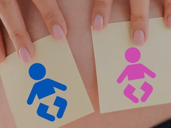 pregnant woman holding blue and pink baby drawings