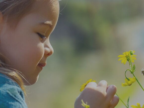 Toddler in a denim dress looking at yellow flowers in a field