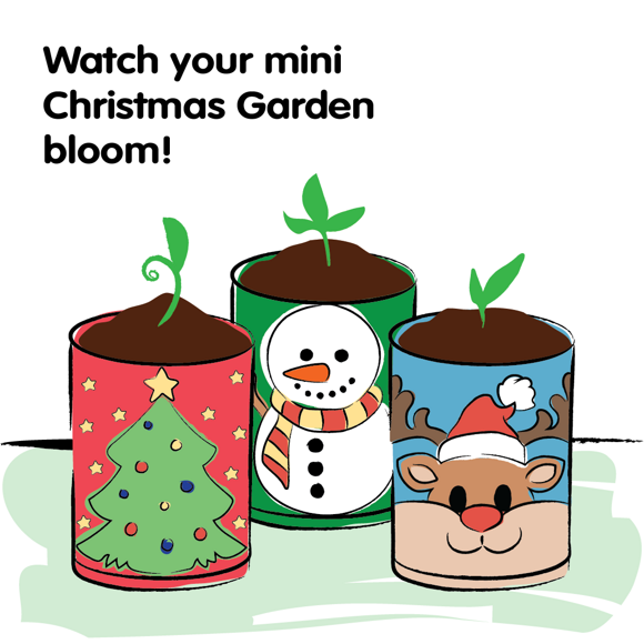 Create Festive Pots for Christmas z