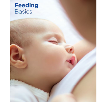Feeding basics brochure