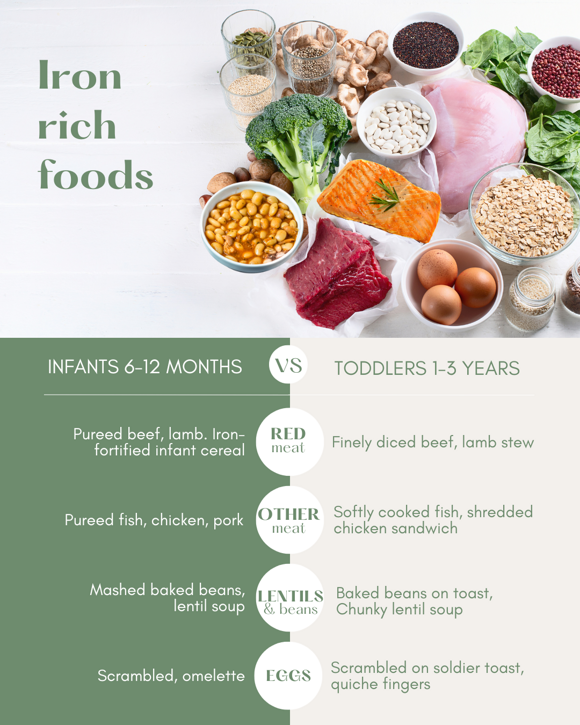 iron rich foods list for infants and toddlers