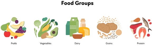 The five food groups animation