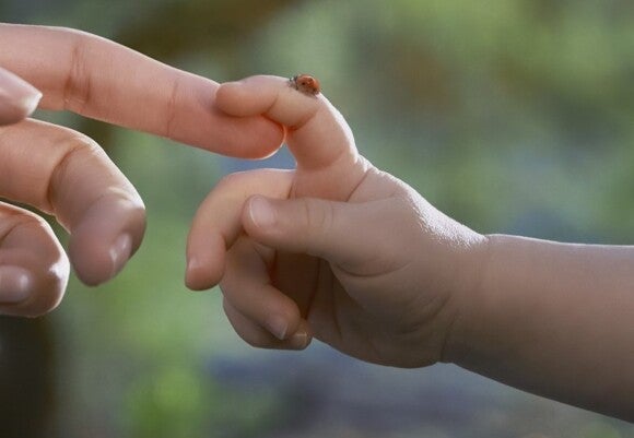child holding a lady bug